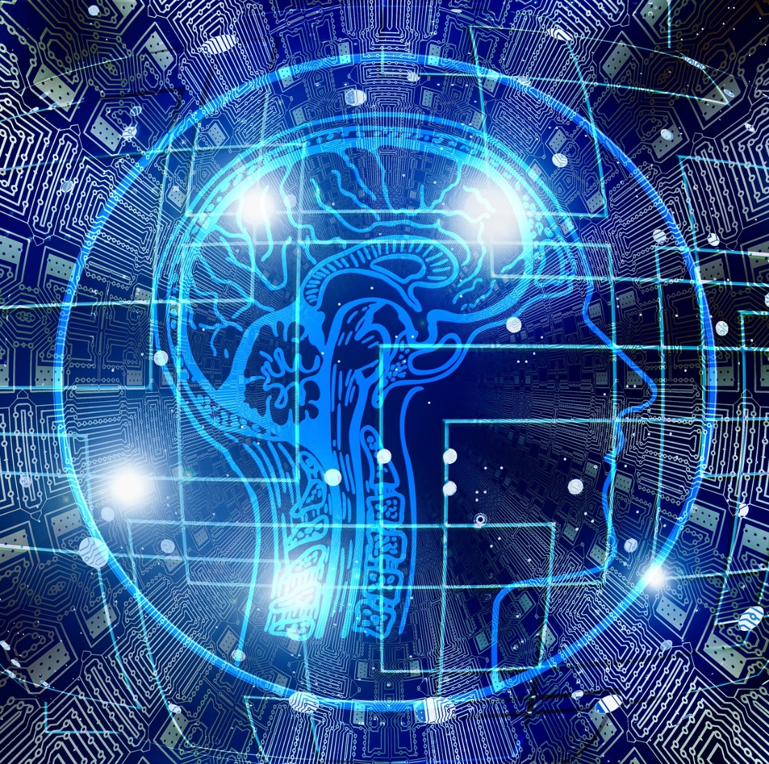 Inspiring Data Innovation from the Ground-Up featured visual